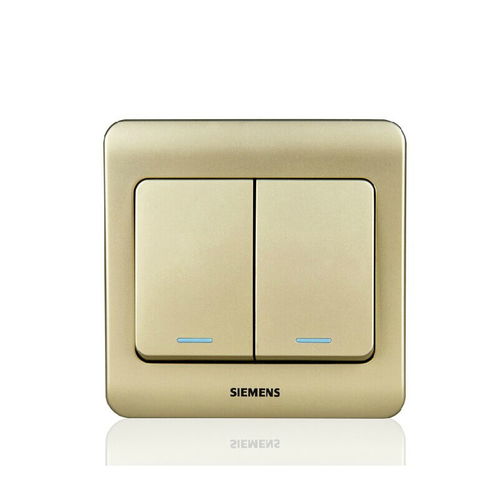 西門(mén)子遠(yuǎn)景金棕 二位單控大蹺板開(kāi)關(guān) 帶熒光指示