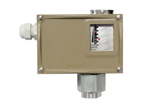 天津潤(rùn)滑脂壓力開(kāi)關(guān)行業(yè)專(zhuān)家在線(xiàn)為您服務(wù)